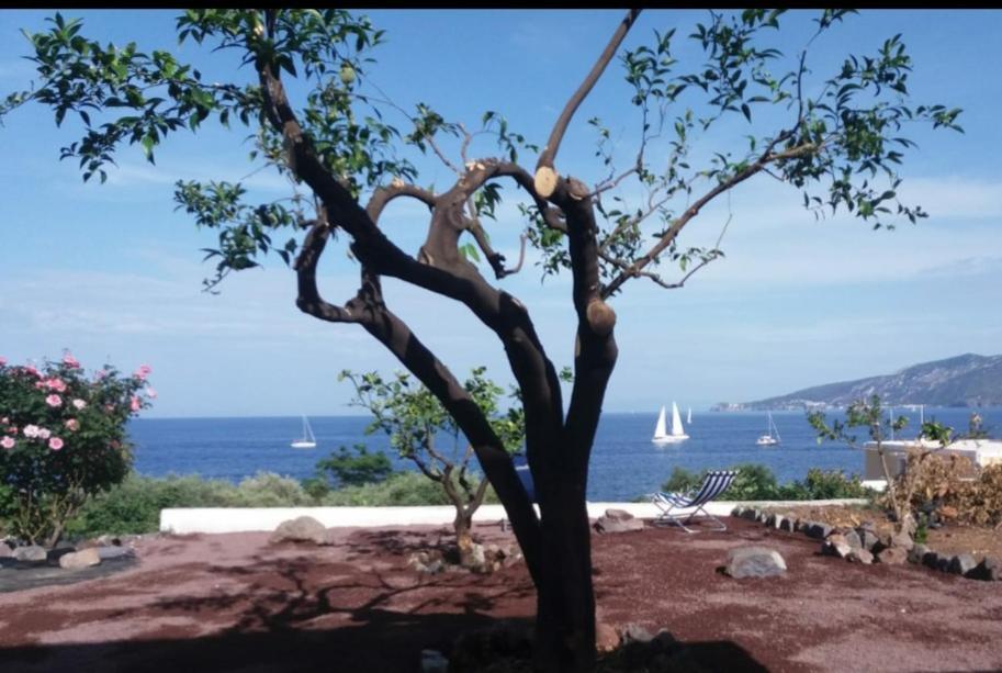 Villa Insolia Santa Marina Salina Pokój zdjęcie